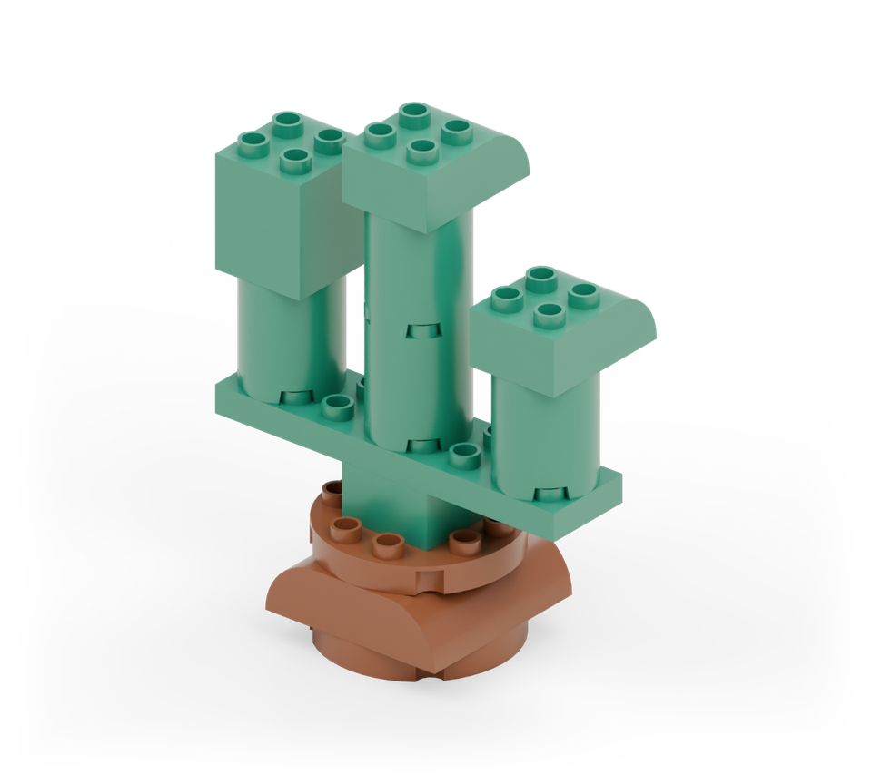 Desert cactus