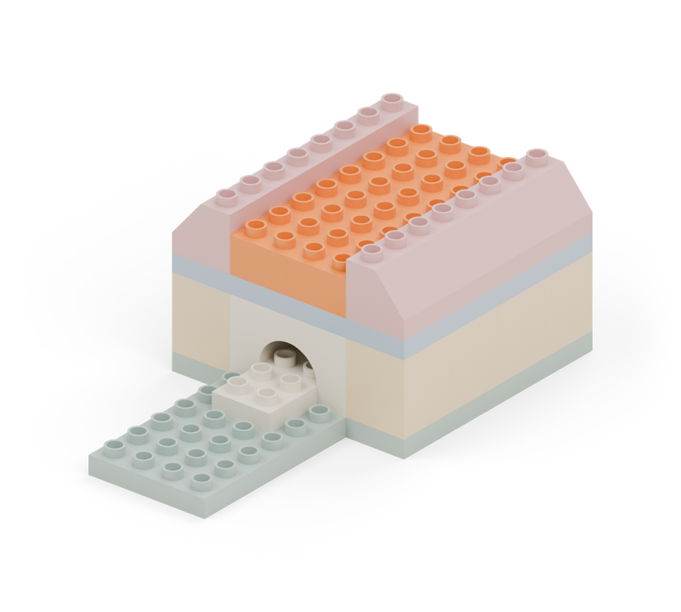 Build up the middle of the roof with four orange long bricks: two rows, each running from back to front.