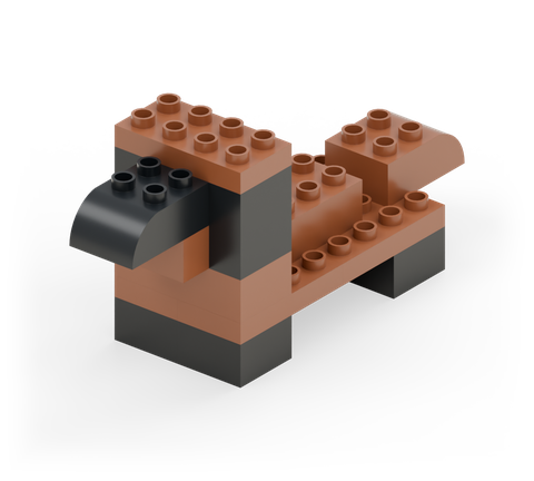 Sausage dog